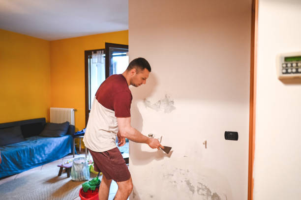 Best Local Mold Removal Service  in Ebensburg, PA